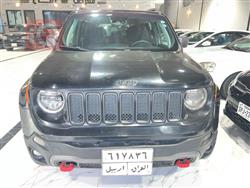 جيب رينيجيد